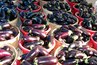 Eggplant or aubergine is part of some typical Syrian dishes.