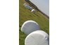 Bales of corn, wrapped to keep them dry.