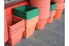 Use small plastic pots with good drainage.