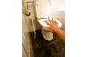 Dispose of the poop.