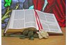 Set up an area in your home that resembles the altar in the church.