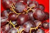 Resveratrol is a bioflavinoid found in grapes and a source of dietary estrogen.