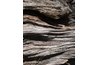 Borax kills termites and other rot-causing organisms.