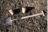 Composting is the natural way to go green.