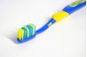 Using medium or hard-bristled toothbrushes will damage fragile corals.