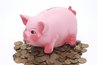 Savings accounts allow you to earn better interest than a checking account.