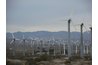 Windmills harness wind to produce energy without pollutants.