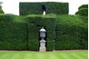 The yew can be trimmed into hedge form.