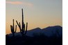 Arizona is home to some of the most breathtaking scenery in the US.