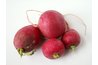 All root vegetables do well is sandy soil structures.