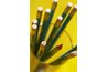 Pencil and Paper Can Create a Simple Budget Plan