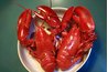 FedEx will ship seafood such as live lobsters.