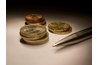 Gold coins with pen