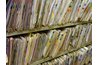 Records should be kept systematically.