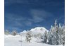 Upper timberline trees are shaped by dessicating winds, frigid temperatures and snow blankets.