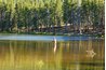 Fly fishing