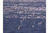 Horizontal patterns in the water.