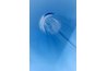 Showerhead