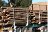 Semi-trucks hauling heavy trailer loads require a Class A license.