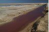 Fertilizer runoff is one cause of excessive algae growth in waterways.