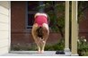Online programs afford future instructors the flexibility to set their own schedules.