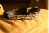 Dog collar with bling