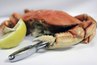 The Dungeness has the most common set of crab legs you'll see.