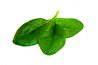 Spinach is a source of prebiotics and other vitamins