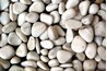 Place a handful of pebbles or broken pottery over the container's drain hole before adding soil.