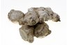 White ginger root