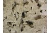 This concrete is very porous and will bond well to cement blocks.