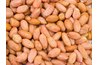 Peanuts continue to be one of our most popular snacks.