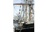 Sheep were transported by sea from Africa to Sydney in 1788.