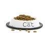 New cat food can cause an allergic reaction in your pet.