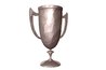 Collect old trophies or borrow ones from the school's victory cabinet .
