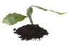 Soil sample