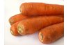 Carrots will rot if exposed to water logged soil too long.
