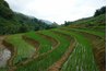 Terracing is used to irrigate steeply sloping land.