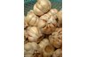 Garlic cloves