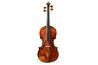 Look for a violin shape on the spider's back