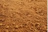 Break the dried clay into pea-sized pieces.