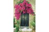 You can train bougainvillea to follow almost any form you would like.