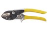 Snip off spent flower heads using pruning shears.