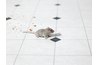Areas frequented by wild rodents can contain hantavirus.