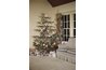 Selection of preferred Christmas trees is traditional practice for many Americans.