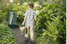 Composting lawn and non-animal kitchen scraps are beneficial to plant growth.