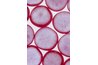 A crosscut of a red radish variety reveals the red skin and white inner flesh.