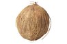 Soak the coconut husk to loosen the fibers.