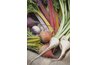 Many root veggies didn't start out so appealing -- even carrots were originally purple or white.