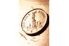 Medallion designs often have a crest-like design.